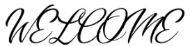 Script Fonts