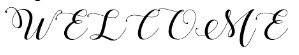 Calligraphy Fonts